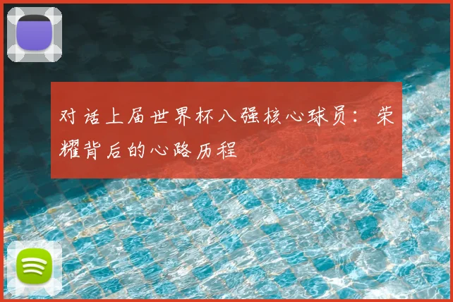 对话上届世界杯八强核心球员：荣耀背后的心路历程