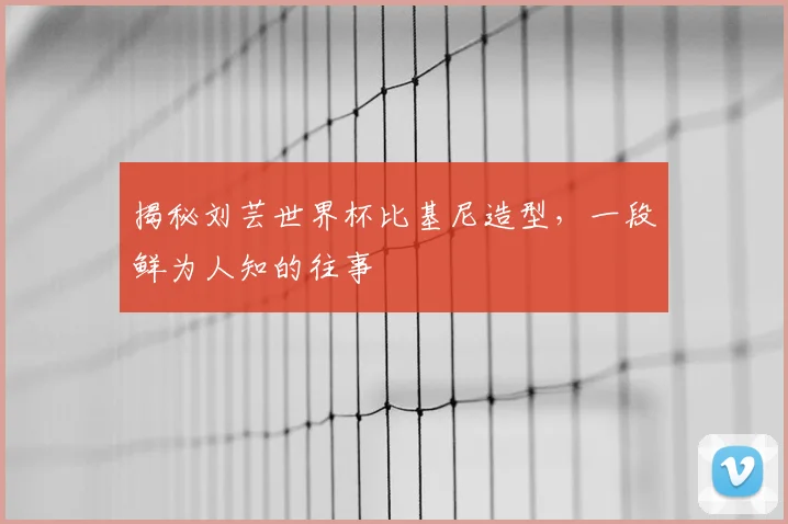 揭秘刘芸世界杯比基尼造型，一段鲜为人知的往事