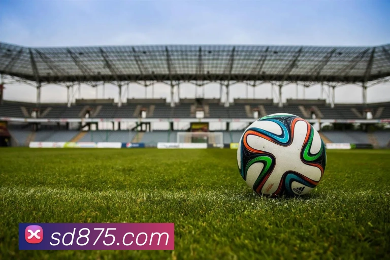 开云手机在线登录官网服务体系